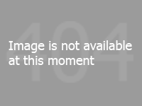 2006 Mazda MPV LX 3.0 V6 GAS Wiring Diagram