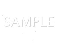 1999 Ford Expedition  4.6 V8 GAS Wiring Diagram