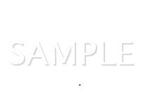 1999 Ford Expedition  4.6 V8 GAS Wiring Diagram