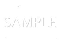 1999 Ford Explorer  4.0 V6 GAS Wiring Diagram