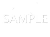 1998 Honda Passport EX 3.2 V6 GAS Wiring Diagram