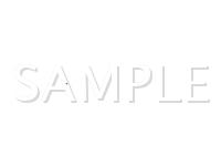1998 Honda Passport LX 3.2 V6 GAS Wiring Diagram