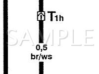 2003 Volkswagen Eurovan  2.8 V6 GAS Wiring Diagram