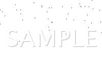 2007 BMW 750I  4.8 V8 GAS Wiring Diagram
