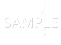 2007 Ford Explorer Sport Trac Limited 4.6 V8 GAS Wiring Diagram