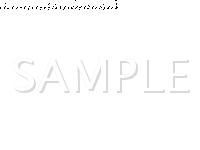 2008 Ford F-150 STX 4.2 V6 GAS Wiring Diagram