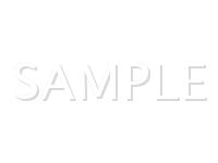 2003 Saturn VUE  3.0 V6 GAS Wiring Diagram