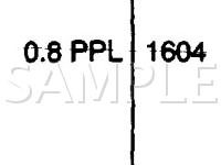 2004 Chevrolet Corvette Z06 5.7 V8 GAS Wiring Diagram