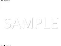 2005 Chevrolet Suburban 2500 LS 8.1 V8 GAS Wiring Diagram