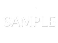 1987 Oldsmobile Calais  3.0 V6 GAS Wiring Diagram