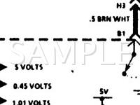1991 Buick Regal Custom 3.1 V6 GAS Wiring Diagram