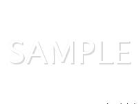 2008 Lexus LX570  5.7 V8 GAS Wiring Diagram