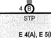 2008 Scion TC Spec 2.4 L4 GAS Wiring Diagram