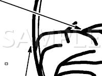Body Harness Diagram for 2001 BMW Z3 M Coupe 3.2 L6 GAS