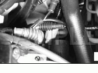 Lower LH Side Of Engine Diagram for 2004 BMW 325I  2.5 L6 GAS