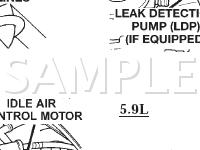 Controls and Solenoids Diagram for 2002 Dodge RAM 1500 Pickup  5.9 V8 GAS
