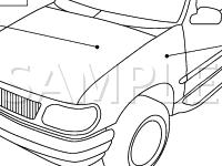 Accelerator Pedal Diagram for 2003 Mercury Mountaineer  4.0 V6 FLEX
