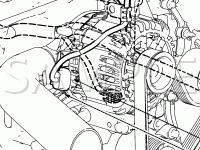 2007 Ford Focus Parts Location Pictures (Covering Entire Vehicle's