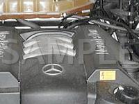 Engine Compartment, Left Rear, In Fuse And Relay Box Diagram for 2002 MERCEDES-BENZ ML320  3.2 V6 GAS