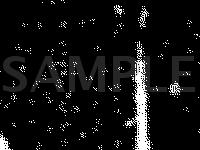 Lower Front LH Side Of Engine Compartment Diagram for 1991 MERCEDES-BENZ 300TE 4matic 3.0 L6 GAS