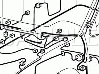 Body Harness Diagram for 2003 Nissan Maxima  3.5 V6 GAS