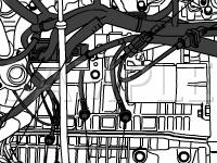 Engine Wire Harness Diagram for 2006 Suzuki Verona  2.5 L6 GAS
