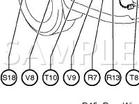 Body Diagram for 2005 Toyota Sequoia SR5 4.7 V8 GAS