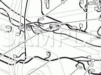 Body Grounds And Connectors Diagram for 2007 Toyota Tacoma  4.0 V6 GAS