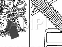 Multi-Function Transmission Range Switch Diagram for 2001 Volkswagen Cabrio  2.0 L4 GAS